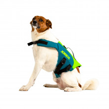 Jobe Pet Vest Lime Teal #2023